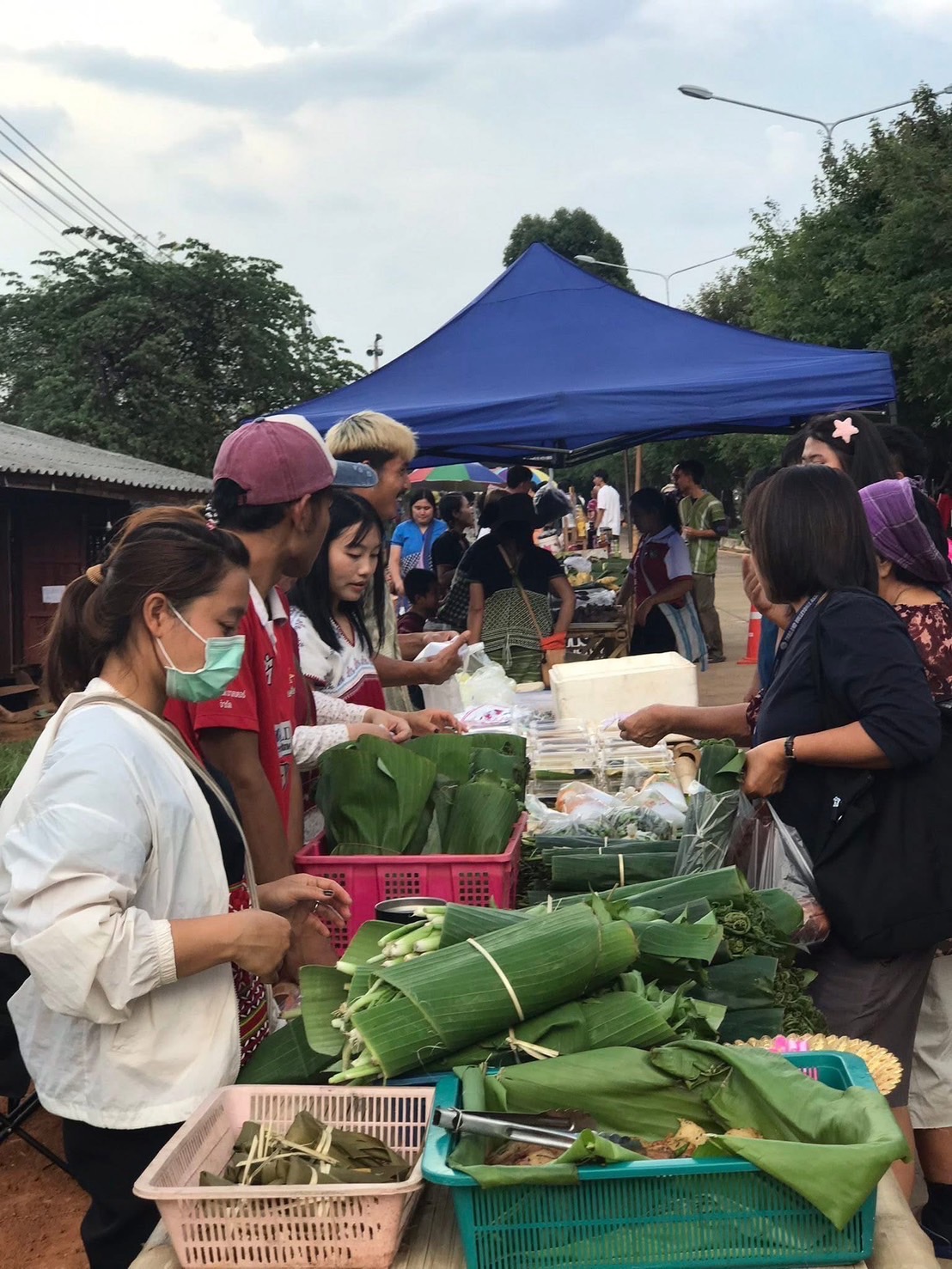 พช.กัลยาณิวัฒนา ร่วมกับเครือข่ายโคก หนอง นา ตำบลแจ่มหลวง จัดกิจกรรมแบ่งปันเมล็ดพันธุ์ และพืชผักสวนครัว